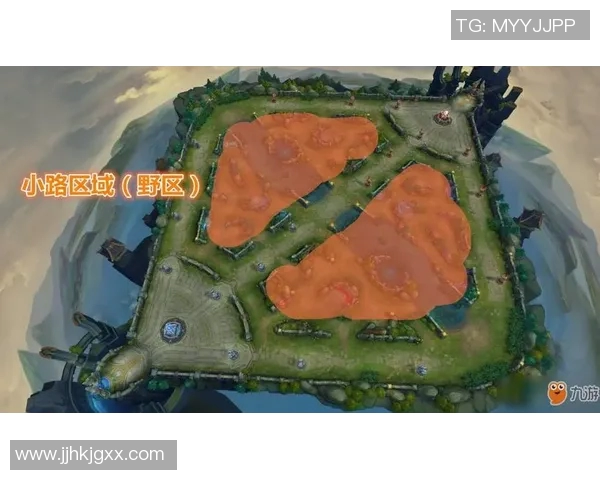 王者荣耀战术解析：深入探讨LNG团队的区域防守策略与执行