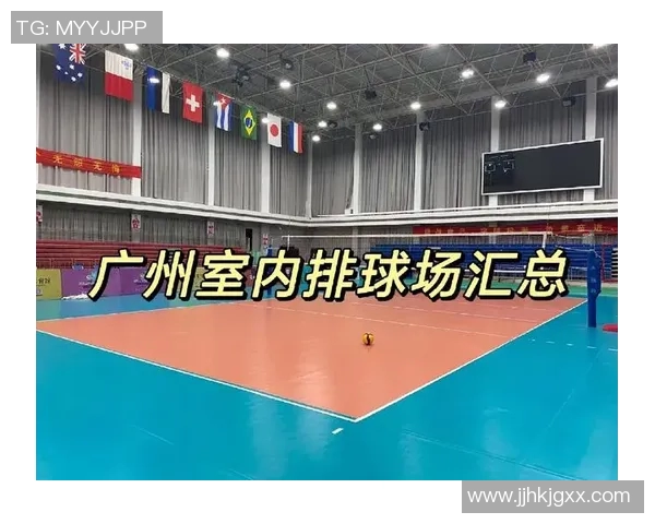 广州排球队创新高排球配合排名再攀新高峰展现团队实力与默契